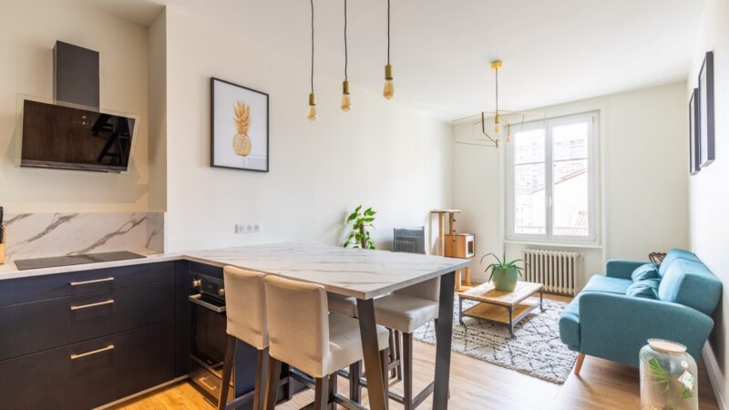 Salon de l’appartement T2 à Lyon 7, par Nestia