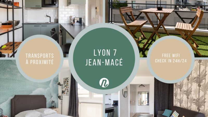 Montage photo de beaux intérieurs rustiques avec une palette de couleurs et des plantes grasses (2)